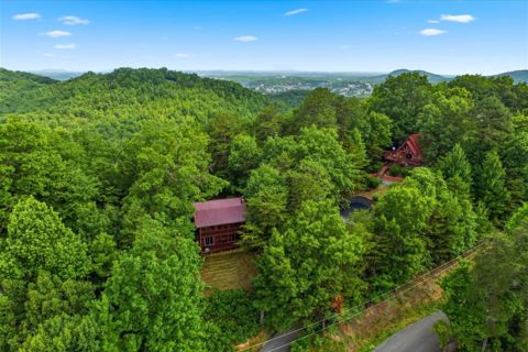 Aerial view: the cabin in the trees with the Smokies behind