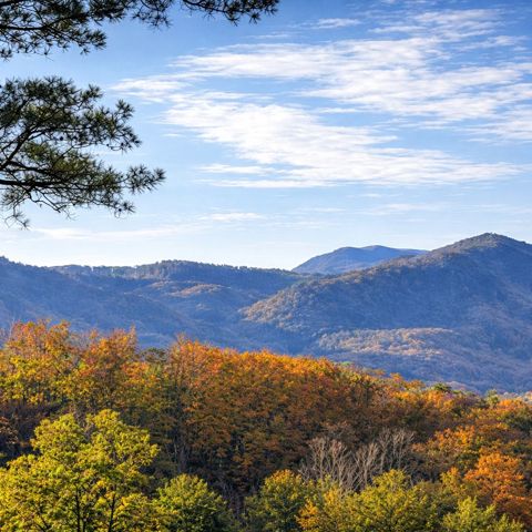Autumn color below the ridges, taken from the cabin