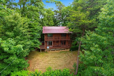 The cabin tucked into the woods