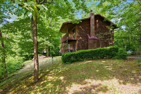 Driveway and side of the cabin