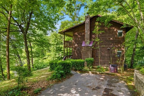 Paved parking area at the side of the cabin